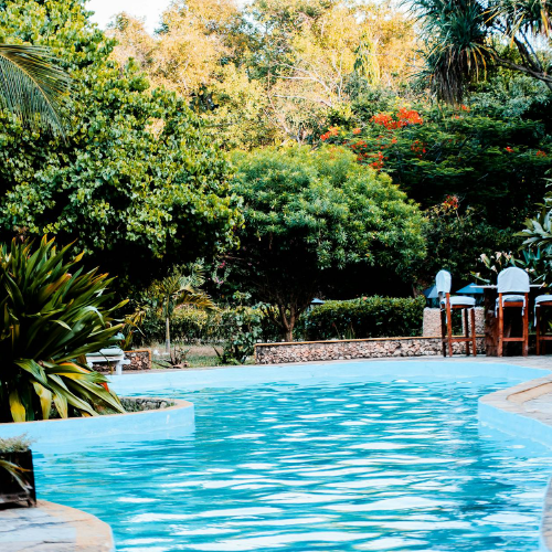 A clean swimming pool with blue water in a beautiful back yard.